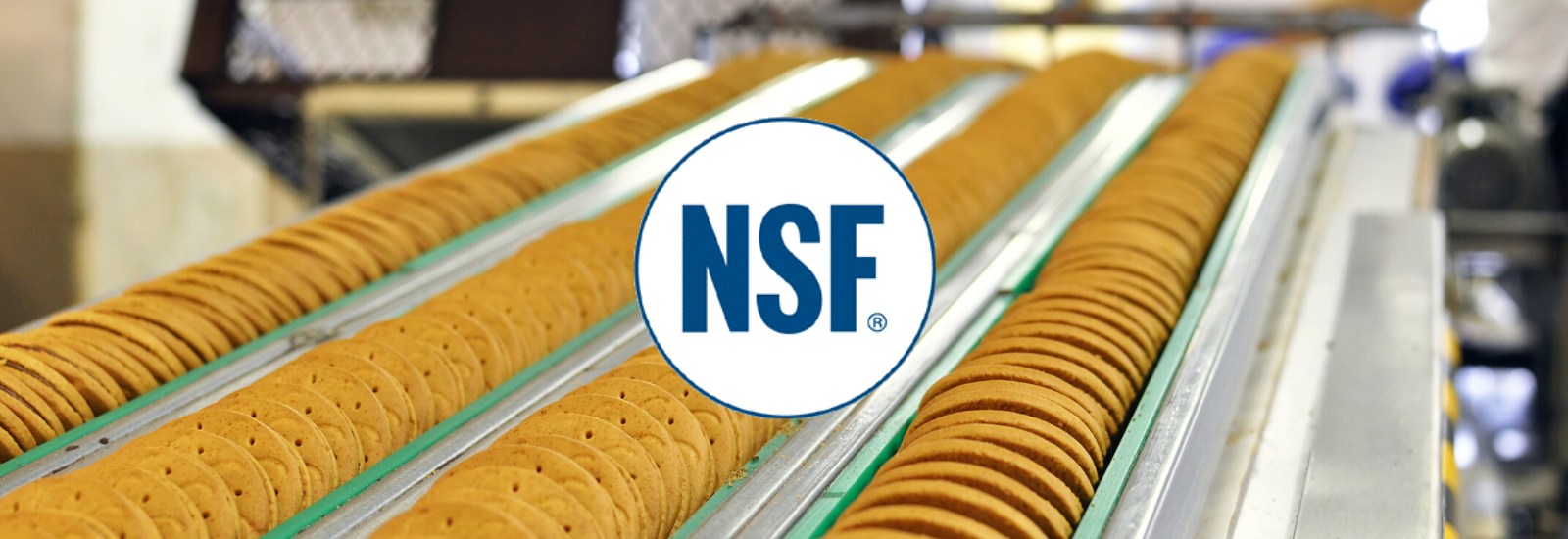 grasso lubrificante siliconico per contatto diretto alimenti omologato NSF H1