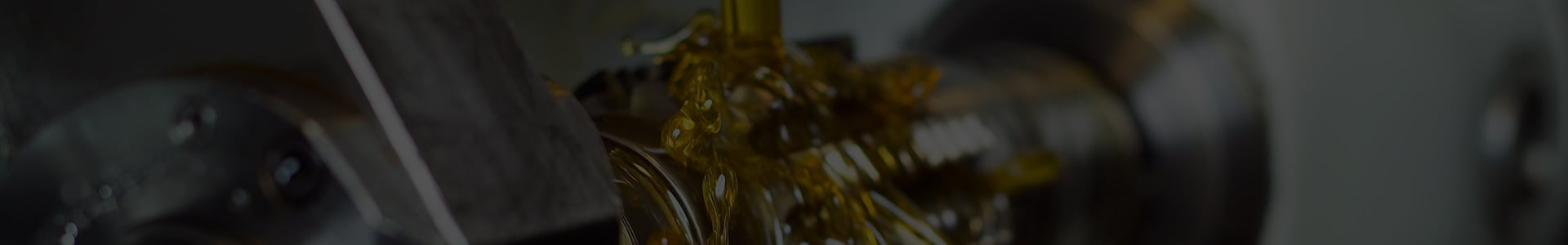 tp-header-bg